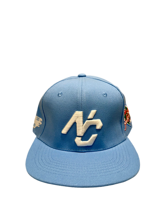 sky blue strapback
